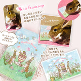 【うちの子オーダーも】カード収納ケース うちの子オーダー:うさぎ2人 たれ耳うさぎ うさぎ種類選べます 森の動物 リス ハリネズミ 鳥 ヤマネコ バンビ イチゴ マカロン スイーツ