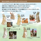 【うちの子オーダーも】カード収納ケース うちの子オーダー:うさぎ2人 たれ耳うさぎ うさぎ種類選べます 森の動物 リス ハリネズミ 鳥 ヤマネコ バンビ イチゴ マカロン スイーツ