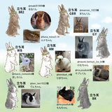 【うちの子オーダーも】カード収納ケース うちの子オーダー:うさぎ2人 たれ耳うさぎ うさぎ種類選べます 森の動物 リス ハリネズミ 鳥 ヤマネコ バンビ イチゴ マカロン スイーツ