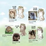 【うちの子オーダーも】カード収納ケース うちの子オーダー:うさぎ2人 たれ耳うさぎ うさぎ種類選べます 森の動物 リス ハリネズミ 鳥 ヤマネコ バンビ イチゴ マカロン スイーツ