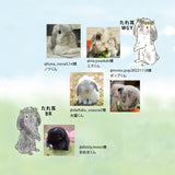 【うちの子オーダーも】カード収納ケース うちの子オーダー:うさぎ2人 たれ耳うさぎ うさぎ種類選べます 森の動物 リス ハリネズミ 鳥 ヤマネコ バンビ イチゴ マカロン スイーツ