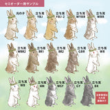 【うちの子オーダーも】カード収納ケース うちの子オーダー:うさぎ2人 たれ耳うさぎ うさぎ種類選べます 森の動物 リス ハリネズミ 鳥 ヤマネコ バンビ イチゴ マカロン スイーツ